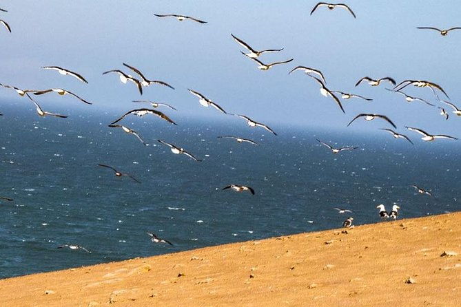 atv-tour-adventure-in-reserva-nacional-de-paracas