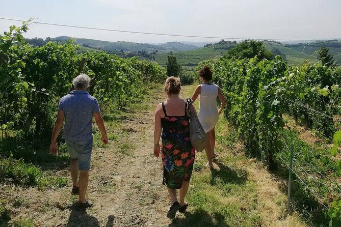authentic-piedmont-wine-tour-with-a-local-sommelier