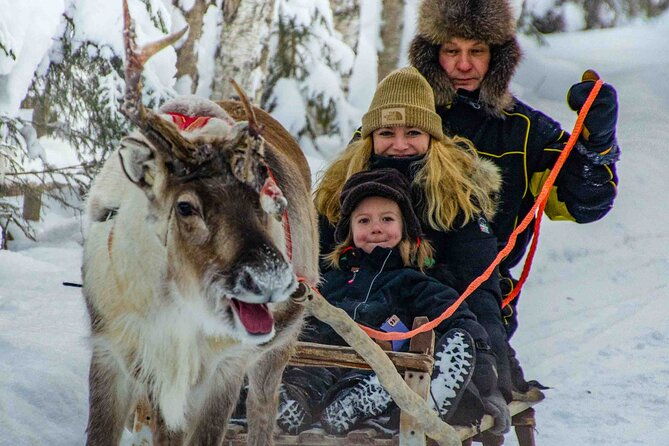 authentic-reindeer-farm-experience-in-rovaniemi