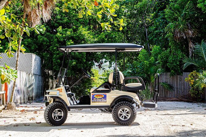 avis-golf-cart-rental-ltd-island-explore