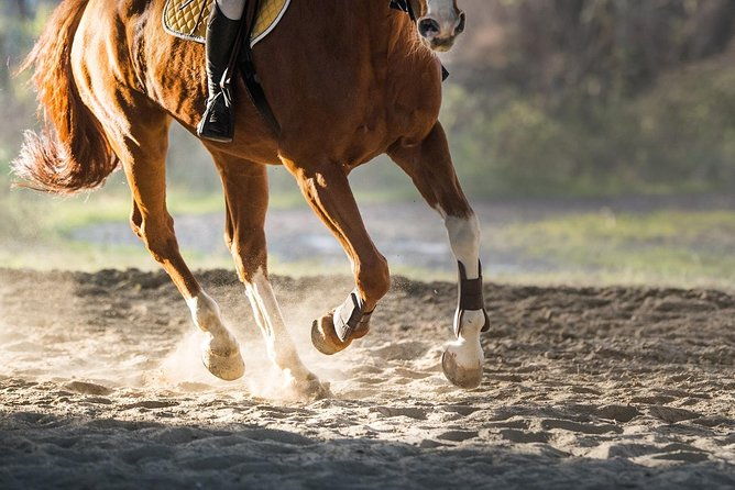 awaken-to-paros-a-scenic-morning-horseback-ride