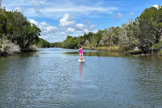 backland-alligator-electric-paddle-tour