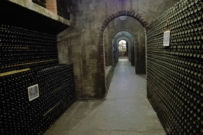 bairrada-winery-route-full-day-from-coimbra