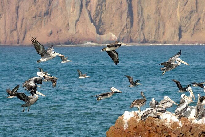 ballestas-islands-tour-boat-with-roof