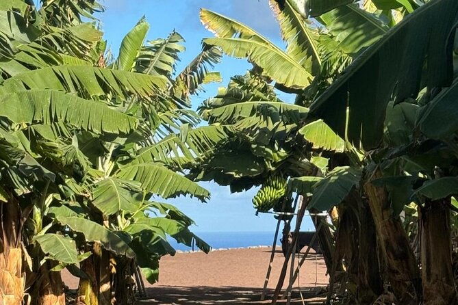 banana-museum-rum-distillery-winery-with-tasting-premium-tour