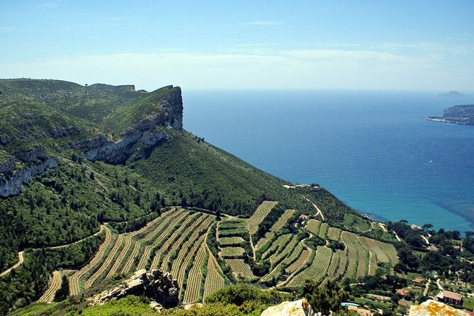 bandol-wine-tour-4-hour-private-tour