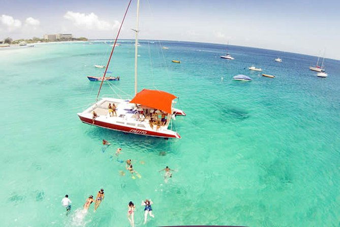 barbados-catamaran-turtle-snorkel-with-open-bar