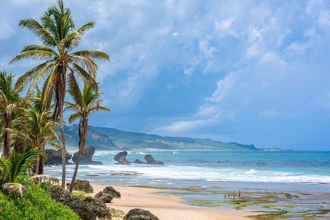 barbados-coastal-tour