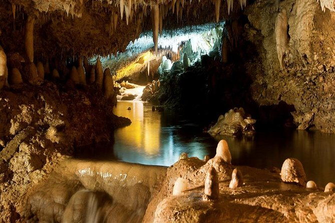 barbados-harrisons-cave-and-atlantis-submarine-dive-tour