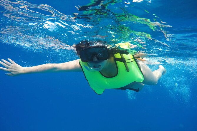 barbados-shore-excursion-carlisle-bay-turtle-shipwreck
