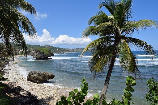 barbados-shore-excursion-island-tour-and-snorkel-cruise