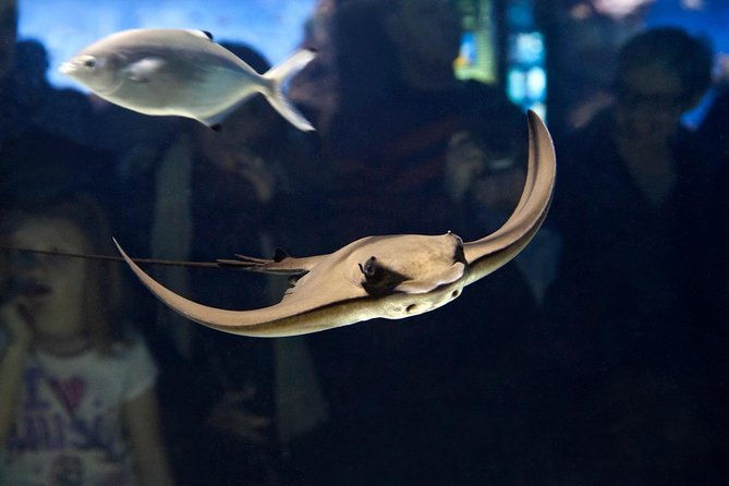 barcelona-aquarium-skip-the-line-ticket