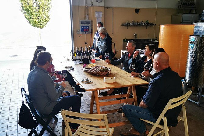 barolobarbaresco-wine-tour-with-a-local-winemaker