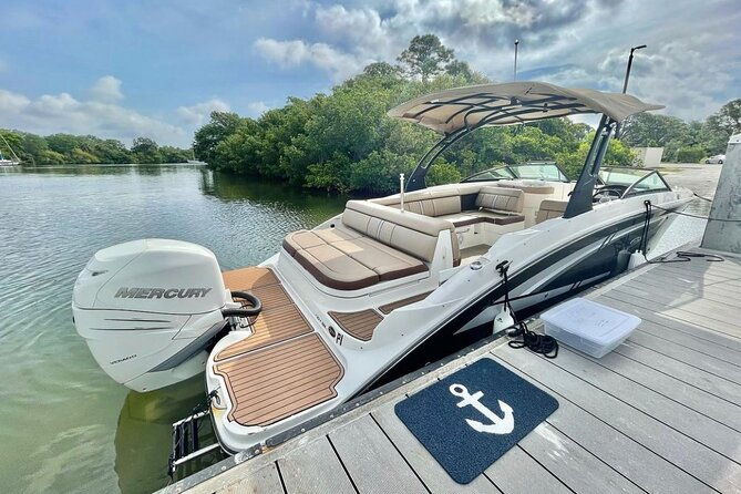 barrier-island-shelling-and-dolphin-tour-in-st-petersburg-fl
