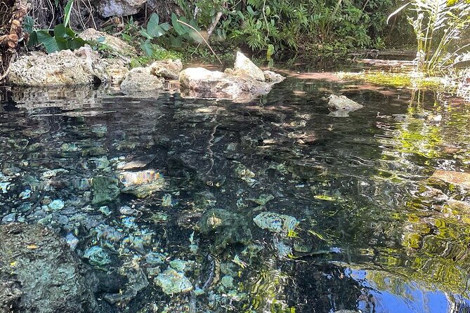 bat-snakes-cave-hidden-fresh-spring-beach-food-fullday-tour