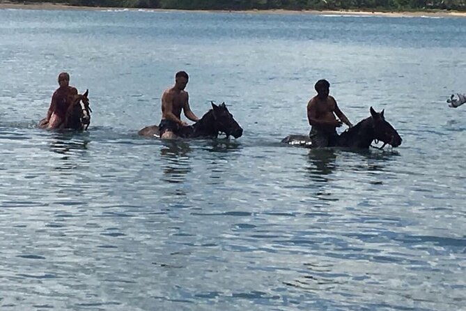 beach-horse-ride-with-countryside-amber-cove-taino-bay