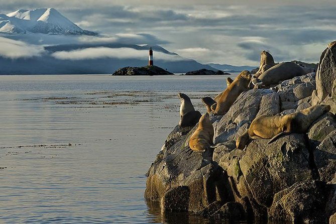 beagle-channel-navigation-on-yacht