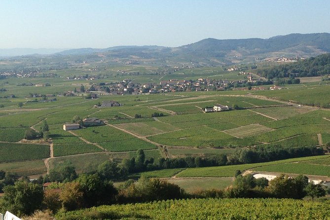 beaujolais-crus-wines-castles-200-pm-630-pm-small-group-tour-from-lyon