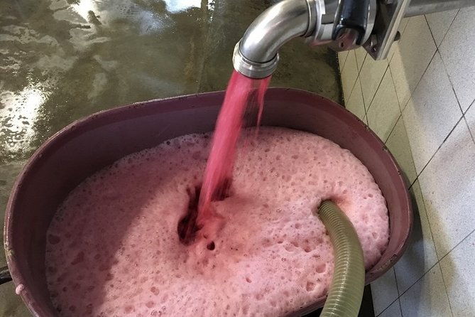 beaujolais-wines-castles-private-tour-half-day