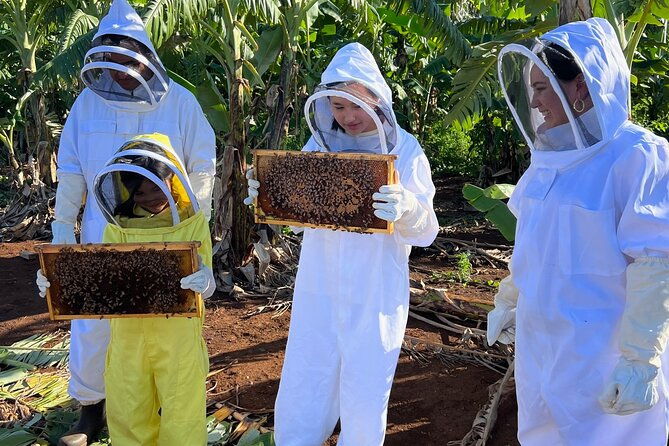 bee-farm-ecotour-and-honey-tasting-in-waialua-north-shore-oahu