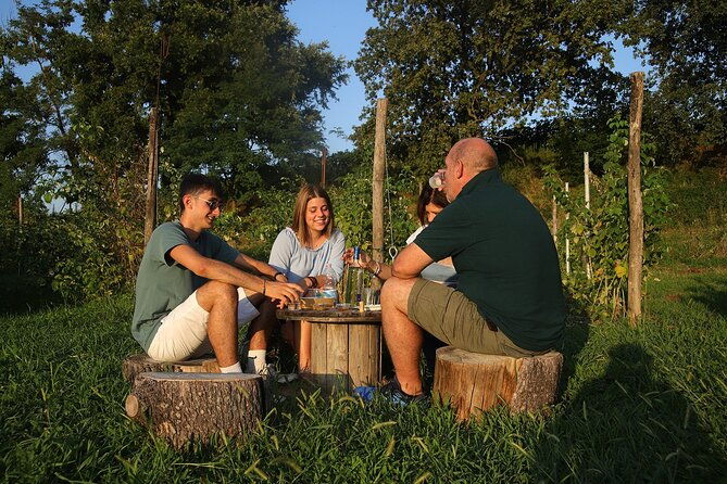 beekeeping-farm-tour-and-tasting-experience-in-lazise