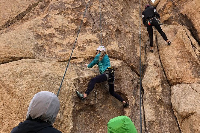beginner-group-rock-climbing-in-joshua-tree-national-park