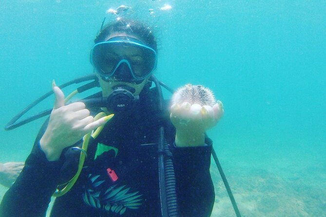 beginner-scuba-diving-guided-tour-no-experience-required