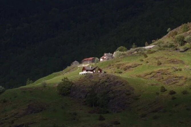 bergen-to-flam-the-king-of-fjords-one-way-or-round-trip-cruise-ticket