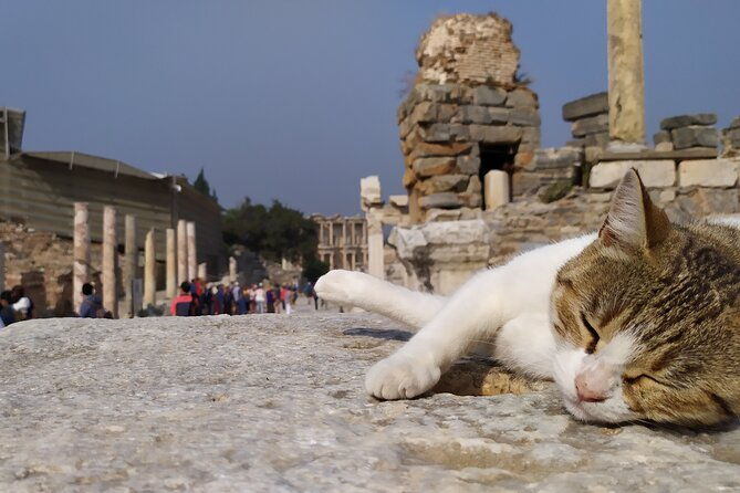 best-of-ephesus-tour-from-kusadasi-temple-of-artemis-st-john-basilica-isa-bey-mosque