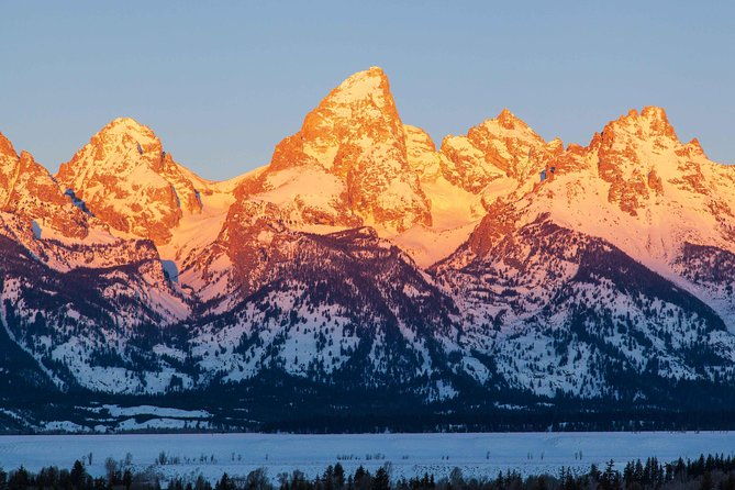 best-of-jackson-hole-wildlife-safari-tour