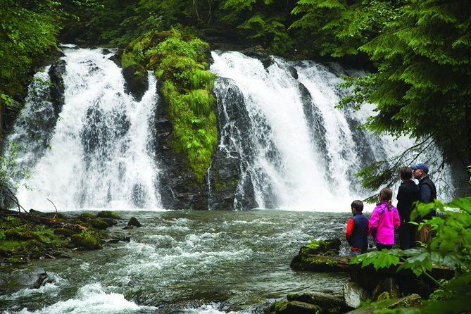 best-of-juneau-mendenhall-glacier-whale-watching-and-salmon-bake