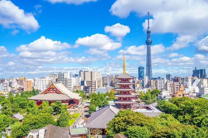 best-of-tokyo-in-a-day-small-group-tour