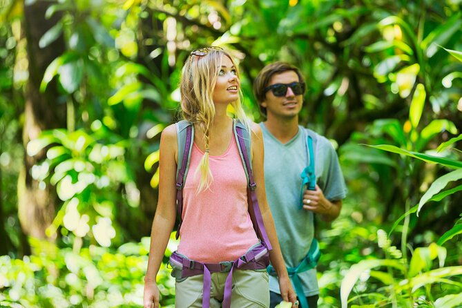 big-island-waterfall-hiking-with-hilo-cruise-ship-pickup