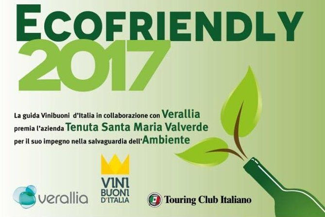 bike-station-valpolicella-e-bike-tour-amarone-tasting-2