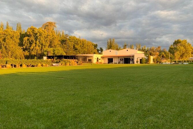 bike-tour-in-mendoza-wine-country