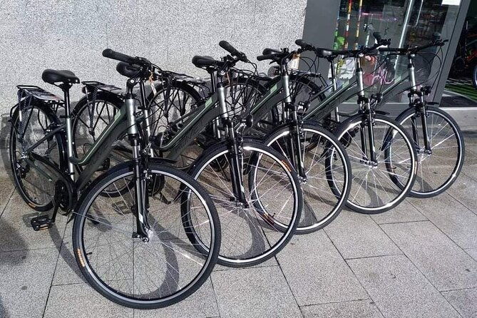 bike-tour-in-san-sebastian-with-free-pintxo-and-drink