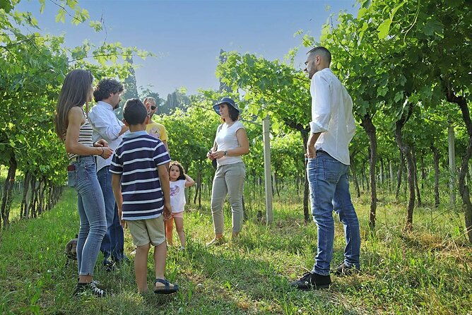 biodynamic-farm-and-natural-wines-tasting-in-lazise-2