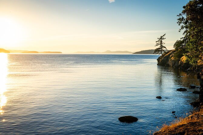 bioluminescence-and-sunset-kayak-tour-in-the-san-juan-islands