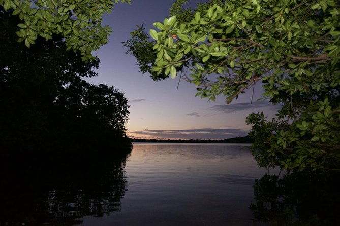 bioluminescent-bay-kayak-adventure-tour-from-san-juan