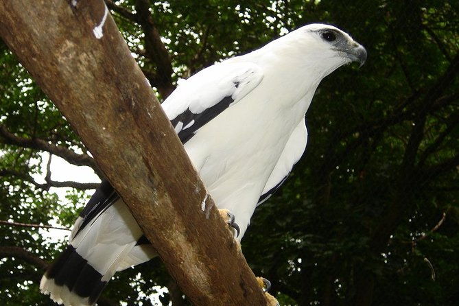 birdwatching-by-the-lake-arenal