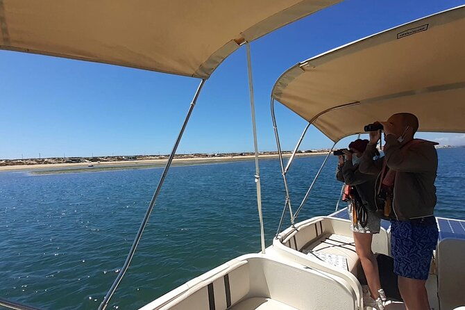 birdwatching-in-ria-formosa-eco-boat-tour-from-faro