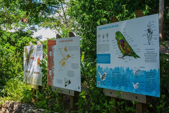 birdwatching-photography-experience-at-the-national-aviary-in-baru