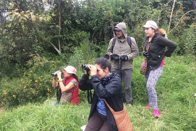 birdwatching-private-tour-at-chicaque-natural-park-with-lunch