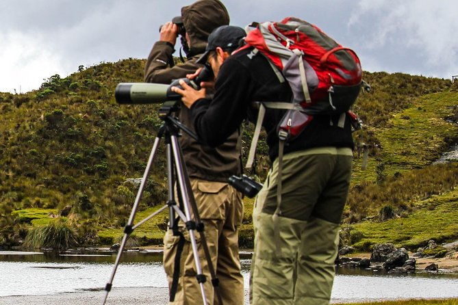 birdwatching-tour-in-cajas-national-park-from-cuenca