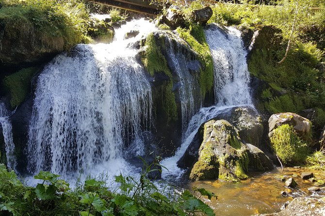 black-forest-tour-by-car-quick-tour-from-freiburg