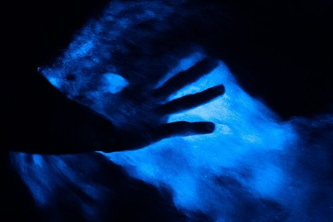blue-hole-and-secret-falls-with-luminous-lagoonglistening-waters-private-tour
