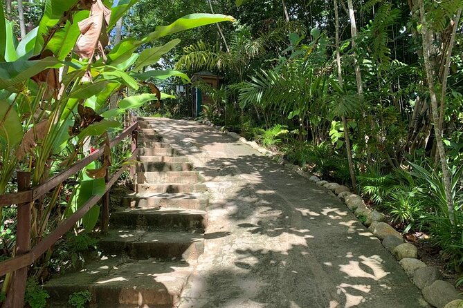 blue-hole-dunns-river-falls-with-lunch-from-negril