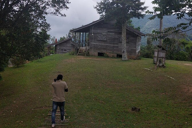 blue-mountain-sight-seeing-nature-trail-hike-with-private-guide