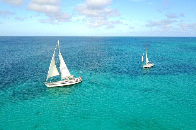 blue-parrot-snorkel-sail-with-4-course-lunch-or-dinner-in-aruba