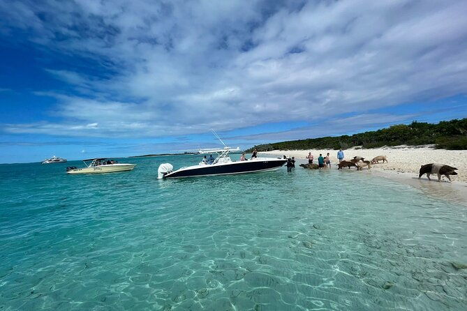 boat-charters-excursions